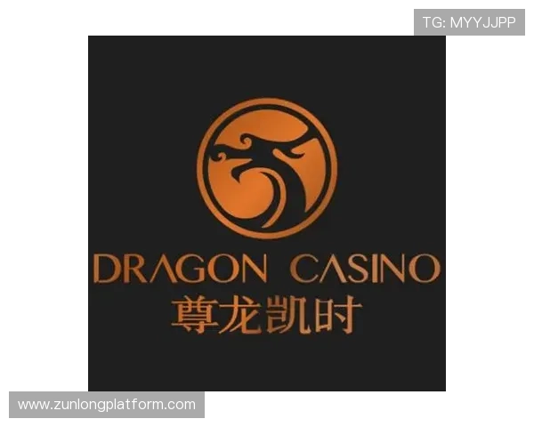 尊龙凯时网娱乐官网：最新优惠活动与丰富奖励机制，助力玩家轻松赢取丰厚奖金