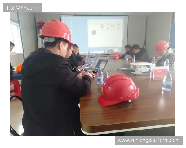 尊龙时凯人生电脑版官方下载地址及安全性分析与保障措施