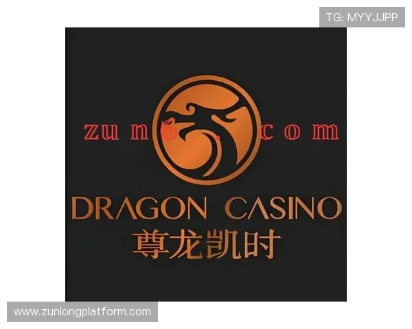 凯时尊龙网址安全登录技巧，提升账号安全等级，防止账号被盗的实用建议
